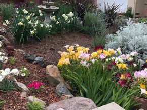 682 Jennie Ct, Lafayette CA 94549