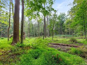 47 John Cross Road, Mount Kisco NY 10549