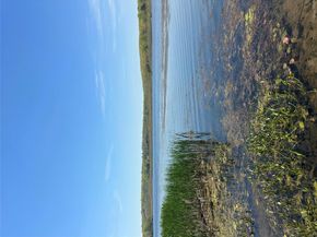 102 Lake Kitchawan Drive, South Salem NY 10590
