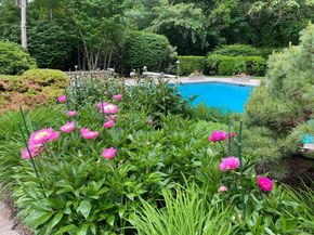 10 Cypress Point Drive, Purchase NY 10577