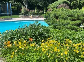 10 Cypress Point Drive, Purchase NY 10577
