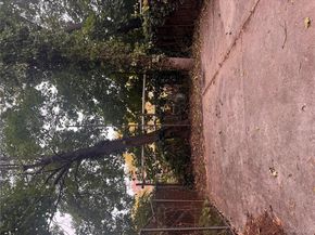 655 Hendrix Street, Brooklyn NY 11207