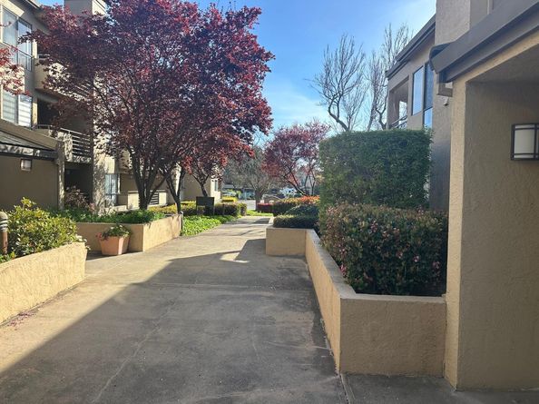 39224 Guardino Drive 204, Fremont CA 94538