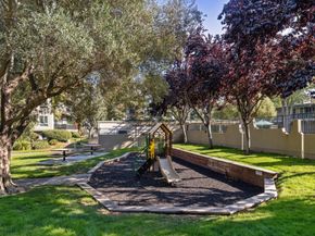 835 N Humboldt Street 203, San Mateo CA 94401