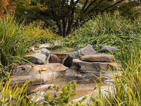 1651 Taylor Lane, Santa Cruz CA 95062