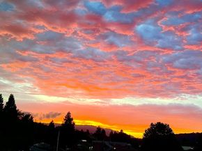 903 Lundy Lane, Scotts Valley CA 95066