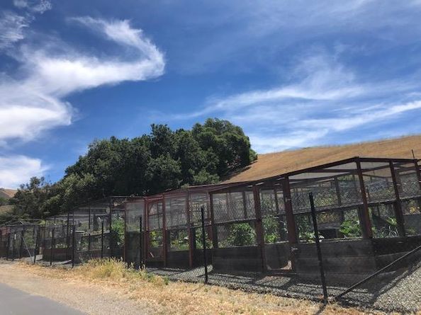 7742 Kilmarnok Drive, San Jose CA 95135