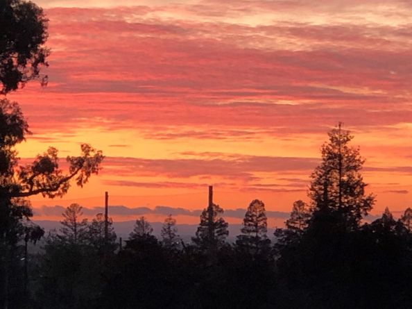 7742 Kilmarnok Drive, San Jose CA 95135