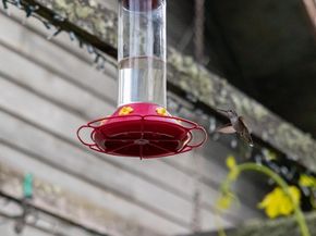 1560 Tindall Ranch Road, Corralitos CA 95076
