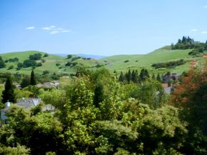 54 Antelope Court, Danville CA 94506