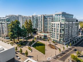 1037 Scotia Terrace 203, Sunnyvale CA 94089