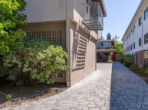 Floribunda, Burlingame CA 94010