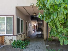 Floribunda, Burlingame CA 94010