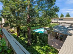 Chestnut, Concord CA 94519