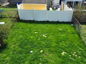 601 Bennington St 2, Boston MA 02128