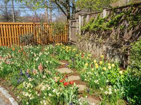 24 Coolidge Avenue, Cambridge MA 02138