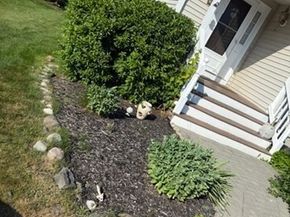 217 Crystal Water Dr 217, East Bridgewater MA 02333