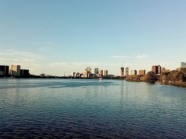 501 Beacon Street 1, Boston MA 02215