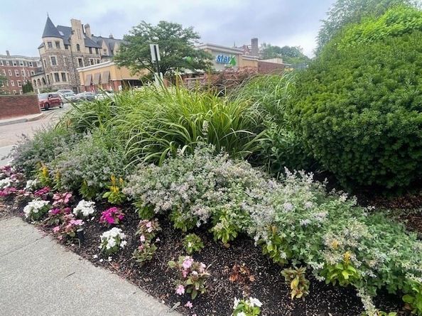 1731 Beacon St 809, Brookline MA 02445