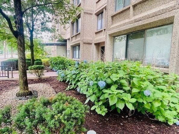 1731 Beacon St 809, Brookline MA 02445