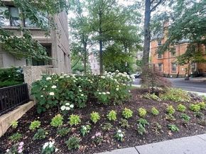 1731 Beacon St 809, Brookline MA 02445