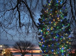 80 Norfolk Avenue 1, Swampscott MA 01907