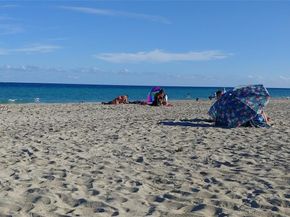 777 N Ocean Dr S409, Hollywood FL 33019