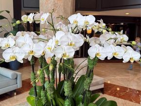 4000 Island Blvd 2402, Aventura FL 33160