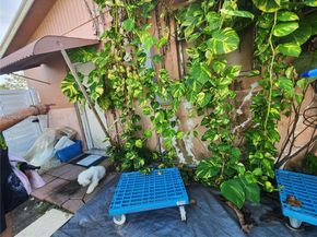 Undisclosed Address #A11916680, Miami FL 33177