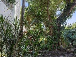 730 12th St 9, Miami Beach FL 33139