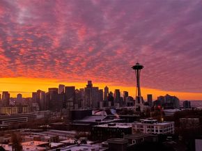 900 Warren Avenue N 302, Seattle WA 98109