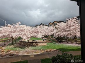 15652 NE 103rd Court 103, Redmond WA 98052