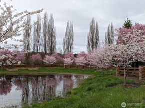 15652 NE 103rd Court 103, Redmond WA 98052