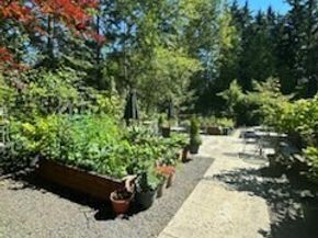 23943 NE 115th Lane 204, Redmond WA 98053