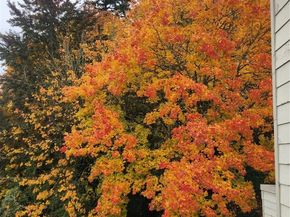 7435 Old Redmond Rd 325, Redmond WA 98052