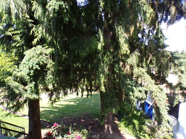 2020 SW 318th Place C3, Federal Way WA 98023