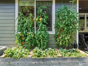 3842 Portside Drive, Bremerton WA 98312