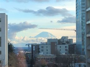 1105 Spring Street 709, Seattle WA 98104