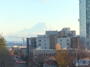 1105 Spring Street 709, Seattle WA 98104