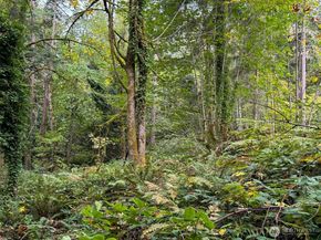 4700 & 4740 Rose Avenue NE, Bainbridge Island WA 98110