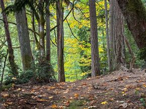 4700 & 4740 Rose Avenue NE, Bainbridge Island WA 98110