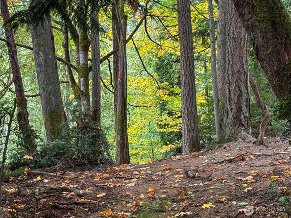 4700 & 4740 Rose Avenue NE, Bainbridge Island WA 98110