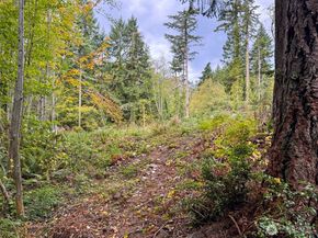 4700 & 4740 Rose Avenue NE, Bainbridge Island WA 98110