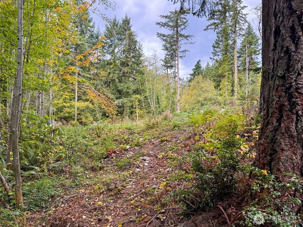 4700 & 4740 Rose Avenue NE, Bainbridge Island WA 98110