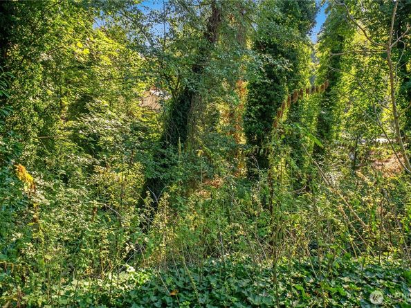 1251 S 230th Street, Des Moines WA 98198