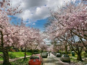 939 21st Avenue E, Seattle WA 98112