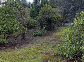 19028 15th Avenue NE, Shoreline WA 98155