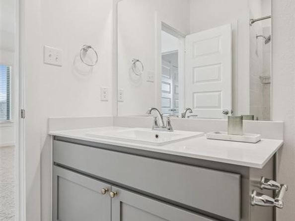 14708  Blanco Bistro Street , Fort Worth Texas 76052