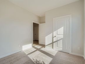 3009  Blue Pine Place , Dallas Texas 75253