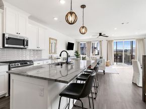 891  Cavitt Court , Prosper Texas 75078